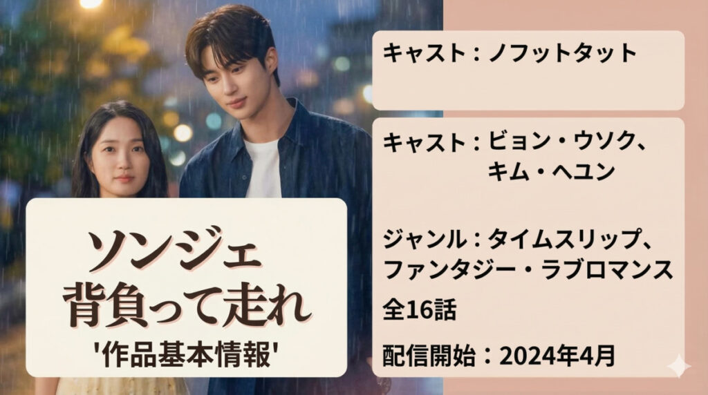「ソンジェ背負って走れ」配信の作品基本情報