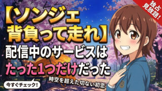 lovely runner streaming where to watch